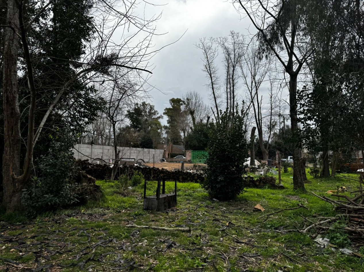 VENTA TERRENOS LA LONJA PILAR