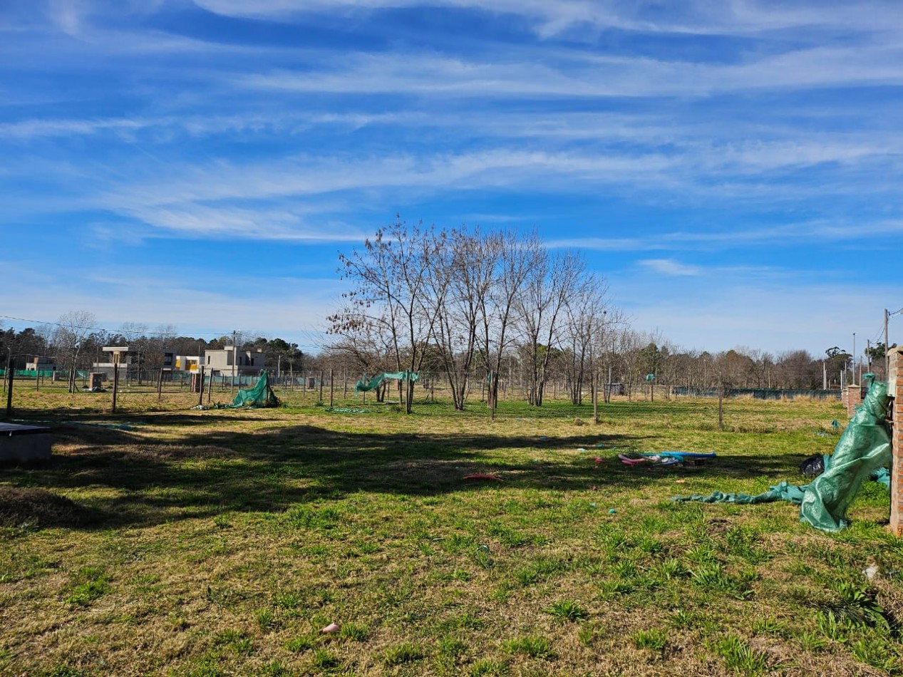 VENTA TERRENOS LA LONJA PILAR