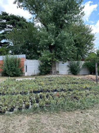 VENTA TERRENO JOSE C PAZ 