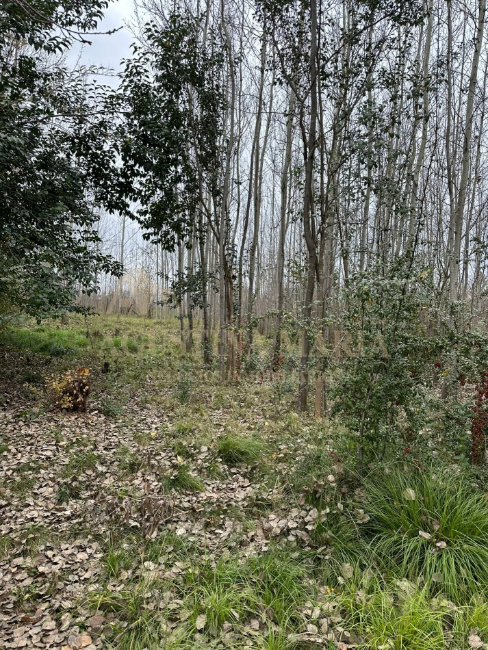 LOTES CORDOBA VILLA YACANTO
